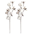 thumbnail image 4 of BRIGHTFUFU 3 unids 10 cabezas de algodón seco tallos estilo de casa de campo de flores artificiales decoración floral simulación flor diy decoración de la boda, 4 of 7