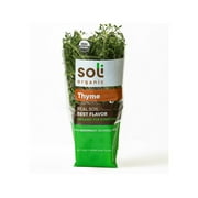 Produce Unbranded Potted Thyme, 1 Count