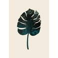 thumbnail image 2 of 1x Studio 18x24 White Modern Wood Framed Museum Art Print Titled - Monstera Marble Green, 2 of 4