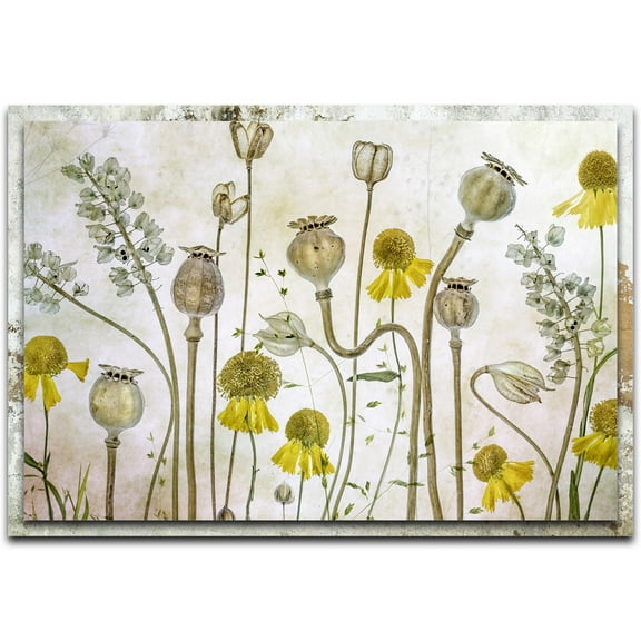 Poppies and Helenium Distressed Frame