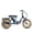 Blue, variant on ADDMOTOR Electric Trike for Adults, 750W Electric Tricycle, 85MI 48V 20AH Dual Suspension Etrike, SOLETRI M-366X Banana Seat 3 Wheel Electric Bike