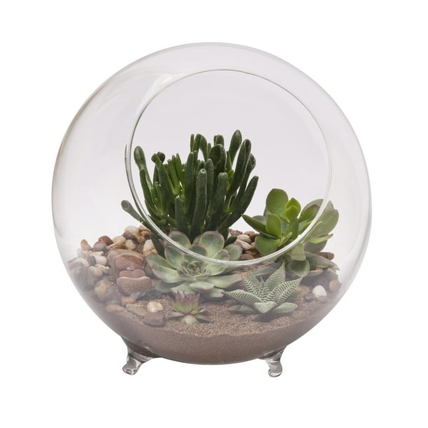 Panacea 10 25 Clear Glass Sphere Terrarium With Feet Com Panacea 9 5 In H X 10 25 D Glass Sphere Terrarium With Feet Clear, Extra Large Round Glass Terrarium