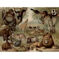 thumbnail image 2 of CafePress - Vintage Jungle Magnets - Rectangle Magnet, 2"x3" Refrigerator Magnet, 2 of 3