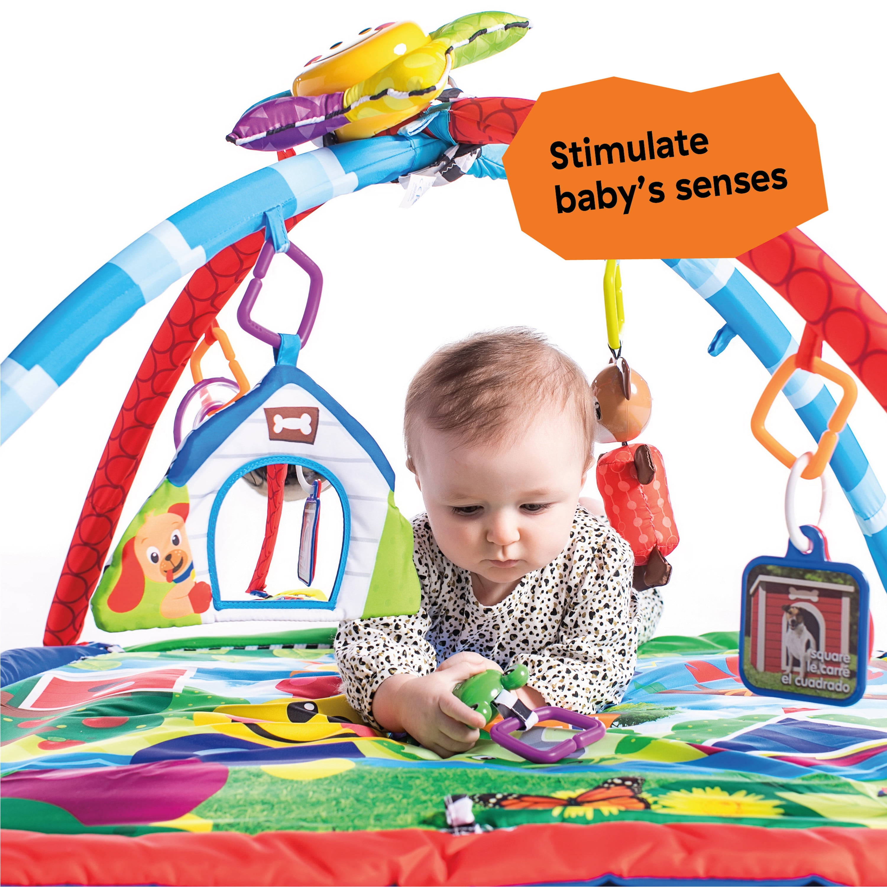 baby einstein caterpillar and friends activity gym