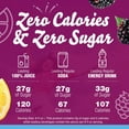 thumbnail image 2 of 2X-Crystal Light Liquid Blackberry Lemonade Naturally Flavored Drink Mix - 1.62 fl oz, 2 of 5