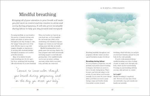 Mindful Pregnancy : Meditation, Yoga, Hypnobirthing, Natural Remedies, and Nutrition - Trimester by Trimester