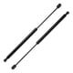 thumbnail image 1 of Soportes de elevación únicos para Hyundai Santa Fe 2001-2006 No.8116126000 resorte de gas del capó delantero negro 2PCS, 1 of 1