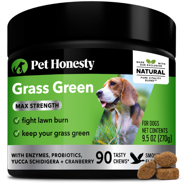 how to keep grass healthy with dogs