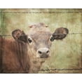 thumbnail image 2 of Murdock, Ramona 32x26 White Modern Wood Framed Museum Art Print Titled - Little Bess, 2 of 4