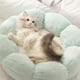thumbnail image 3 of Cama acolchada para gatos, cama para mascotas, bonita cama redonda para mascotas, cama acolchada para perros, calidad inigualable, 3 of 10