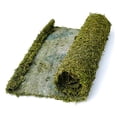 thumbnail image 3 of SuperMoss InstantGreen Moss Mat - 4 x 1.5 feet, 3 of 10