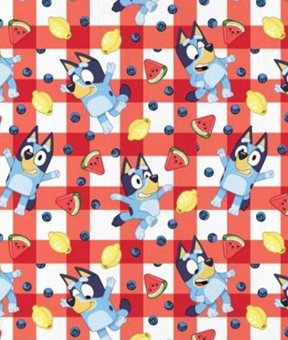 Bluey BBQ Kids Outdoor Blanket, 50 x 60 inches