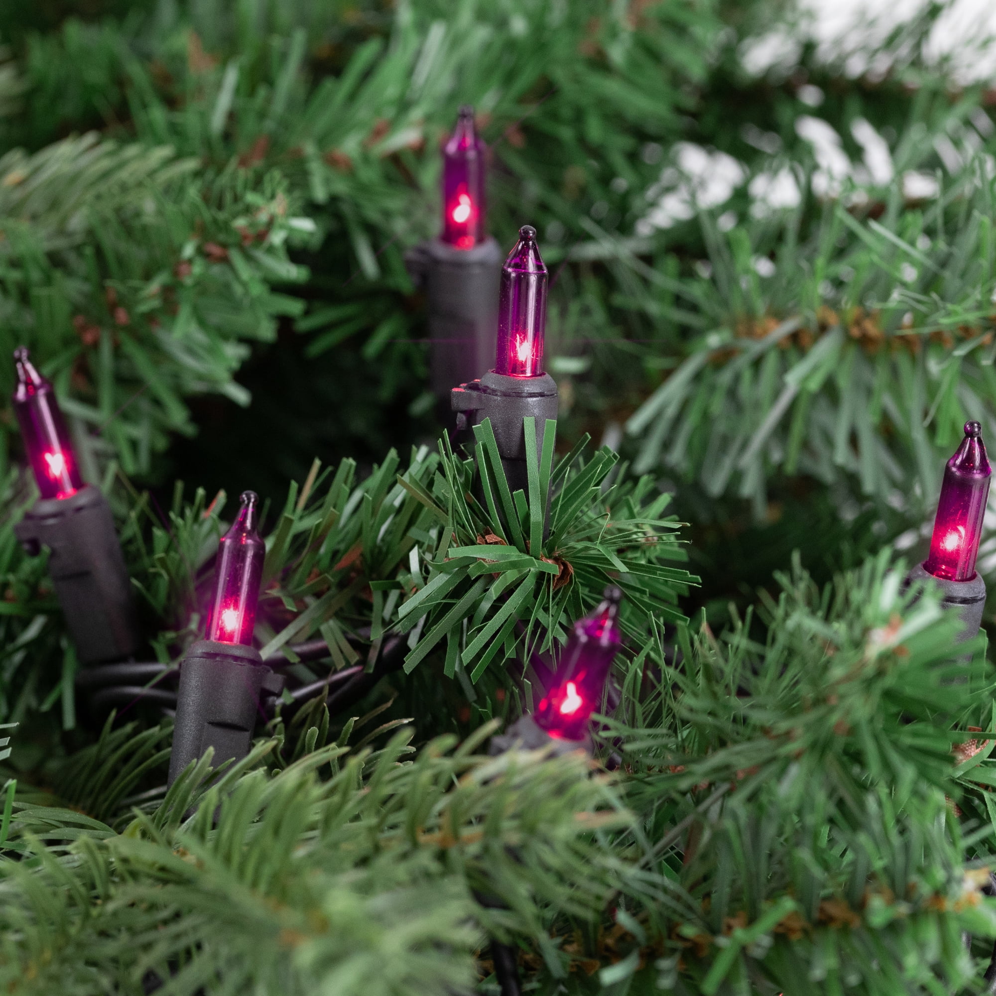 Set of 35 Purple Mini Christmas Lights 2.5" Spacing - Black Wire
