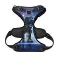 thumbnail image 5 of Picia Astronauts Start Running No-Pull Dog Harness Reflective Front Clip Vest with Handle,Step-in Air Dog Harness,Adjustable 2 Metal Rings 4 Buckles,Easy to Put on & Take Off X-Large, 5 of 9