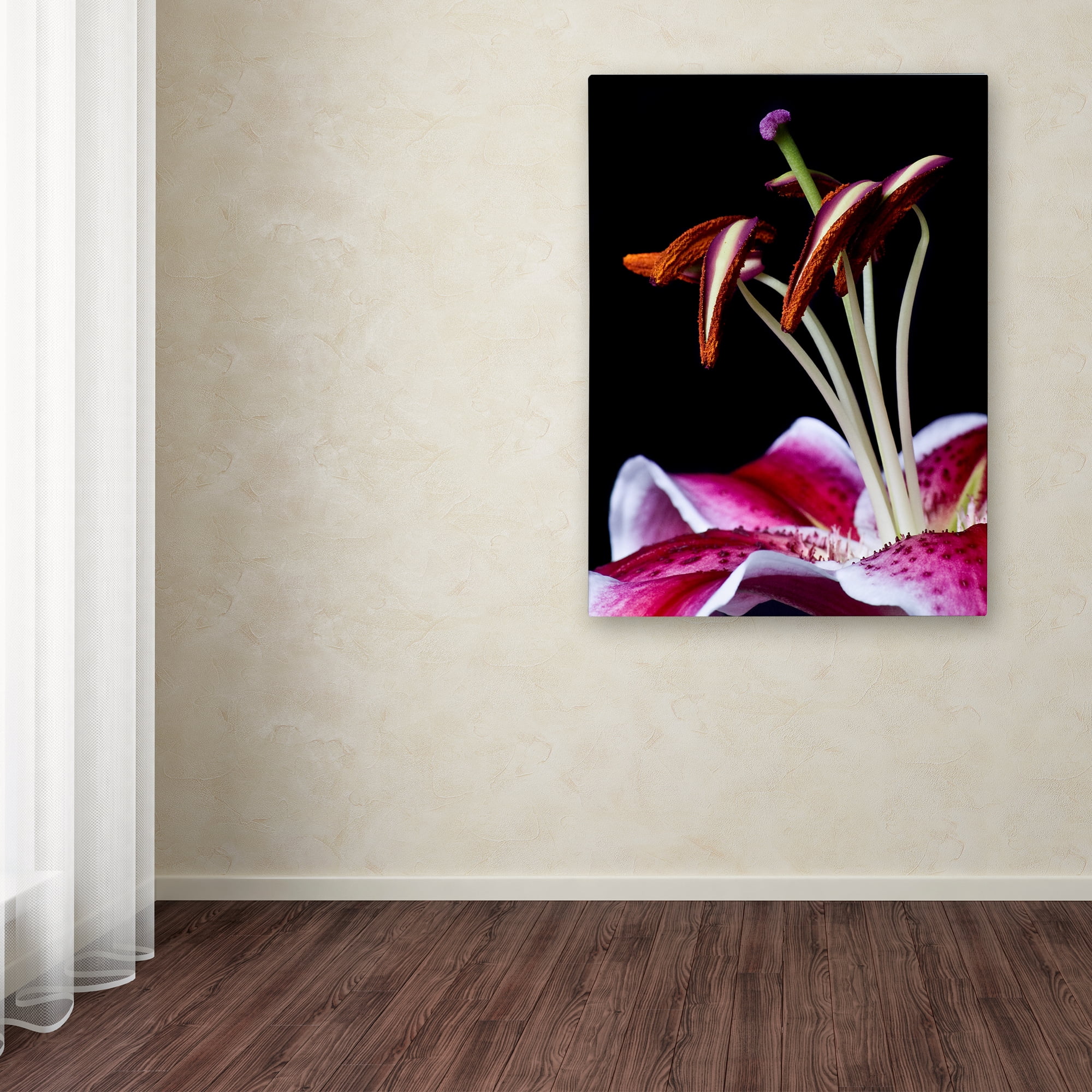 Trademark Fine Art 'Hot Pink Lily Closeup' Canvas Art by Lori Hutchison