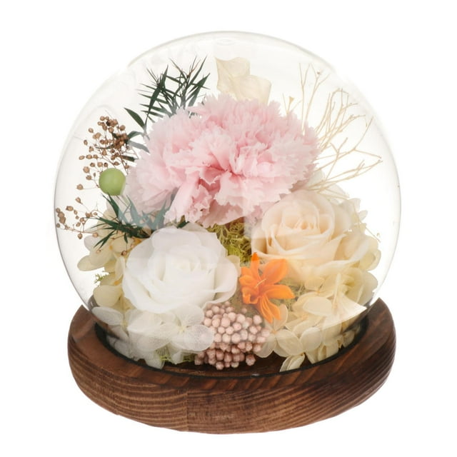 Regalo para el Día de la Madre, Regalo de Flores Preservadas, Regalo de Clavel para Mujeres, Regalo de Clavel champán