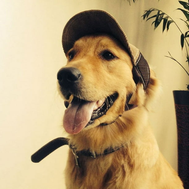 onlyliua Liquidación Gorro para Perro, Ajustable, con Orificio para La Oreja, Correa para La Barbilla, Gorro para Disfraz de Cachorro, para Perros y Gatos