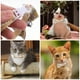thumbnail image 5 of KAKOWELY 2 collares para mascotas, collares para gatos, collares ajustables para gatitos, collares con lazo y cascabel., 5 of 5