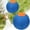 z-55, variant on Extra Large Inflatable Dog Toy Ball, Durable Tear-Resistant Inflatable Big Ball with Handle Cover & Pump for Outdoor Play (inch)