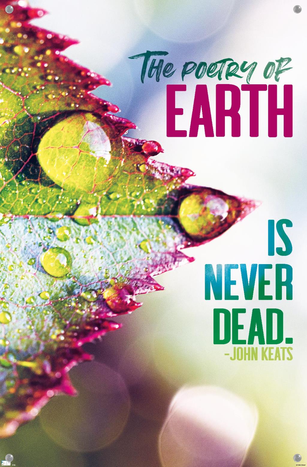 Tara Robinson - Keats Wall Poster with Pushpins, 14.725" x 22.375"
