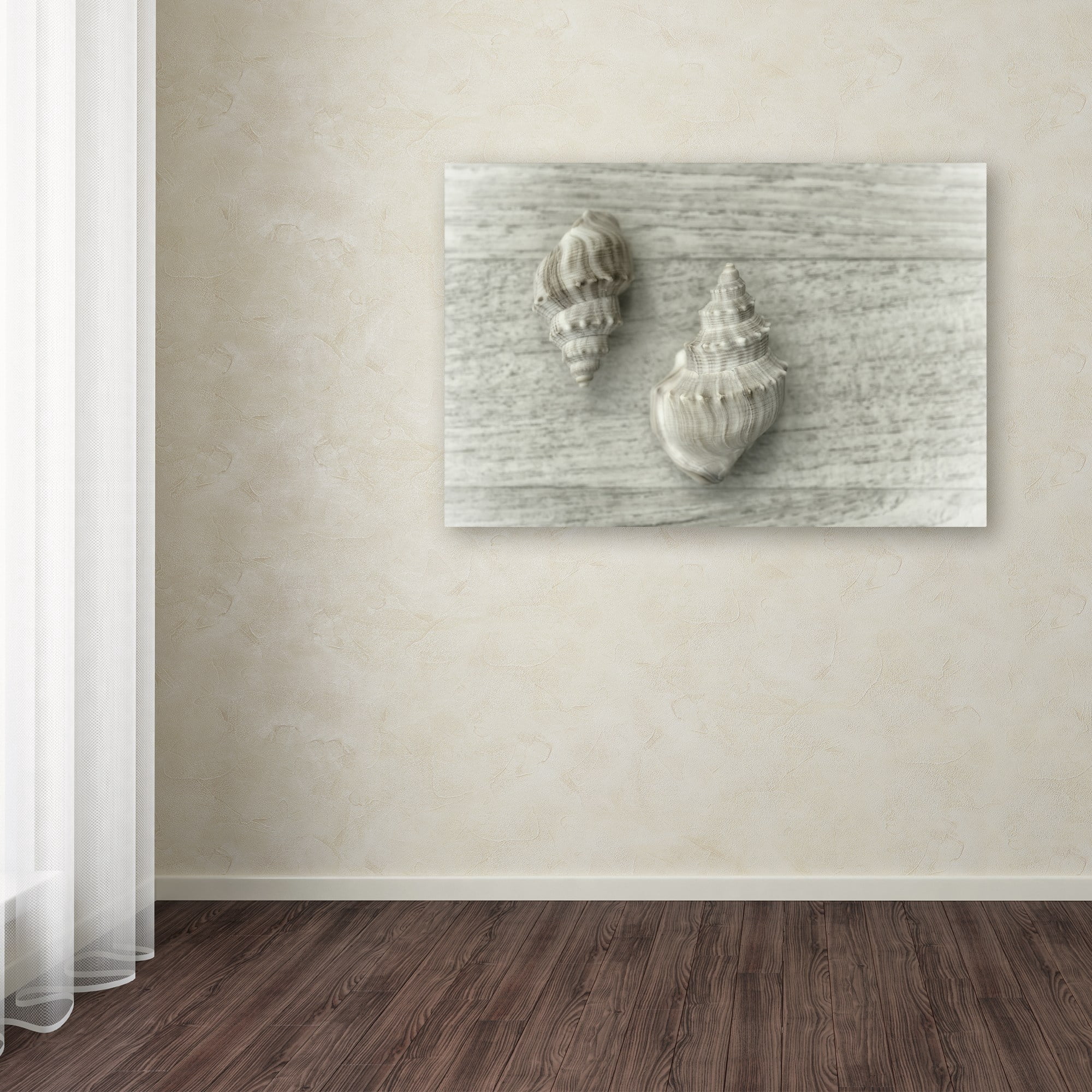 Two Cancellaria Shells' Canvas Art by Cora Niele
