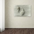 thumbnail image 4 of Two Cancellaria Shells' Canvas Art by Cora Niele, 4 of 4