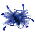 thumbnail image 6 of Baberdicy Women's Dual Fascinator - Clip & Headband Convertible - Wedding/Church Hat - Feather & Mesh Design - Value Pack A,One Size, 6 of 8