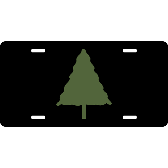 U.S. Army 91st Training License Plate