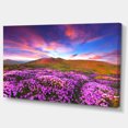 thumbnail image 2 of Magic Pink Rhododendron Flowers - Large Landscape Canvas Art Print, 2 of 3