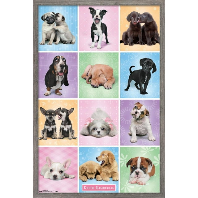Keith Kimberlin - Puppies - Cuties Grid Wall Poster, 22.375" x 34"