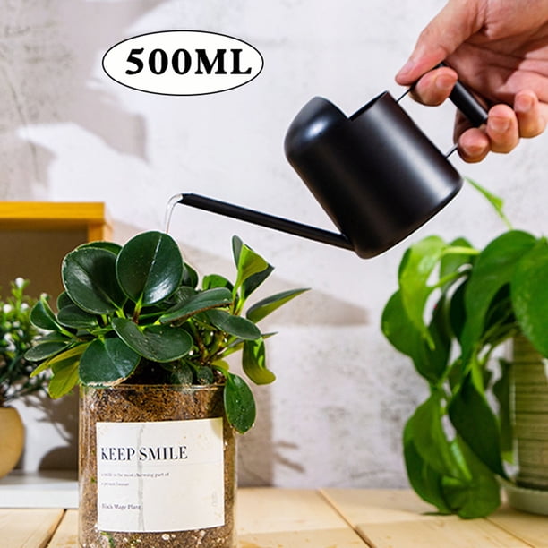 Regadera de Acero Inoxidable - Regadera Metálica con Boquilla Larga para Evitar Derrames, Ideal para Plantas de Interior y Exterior.