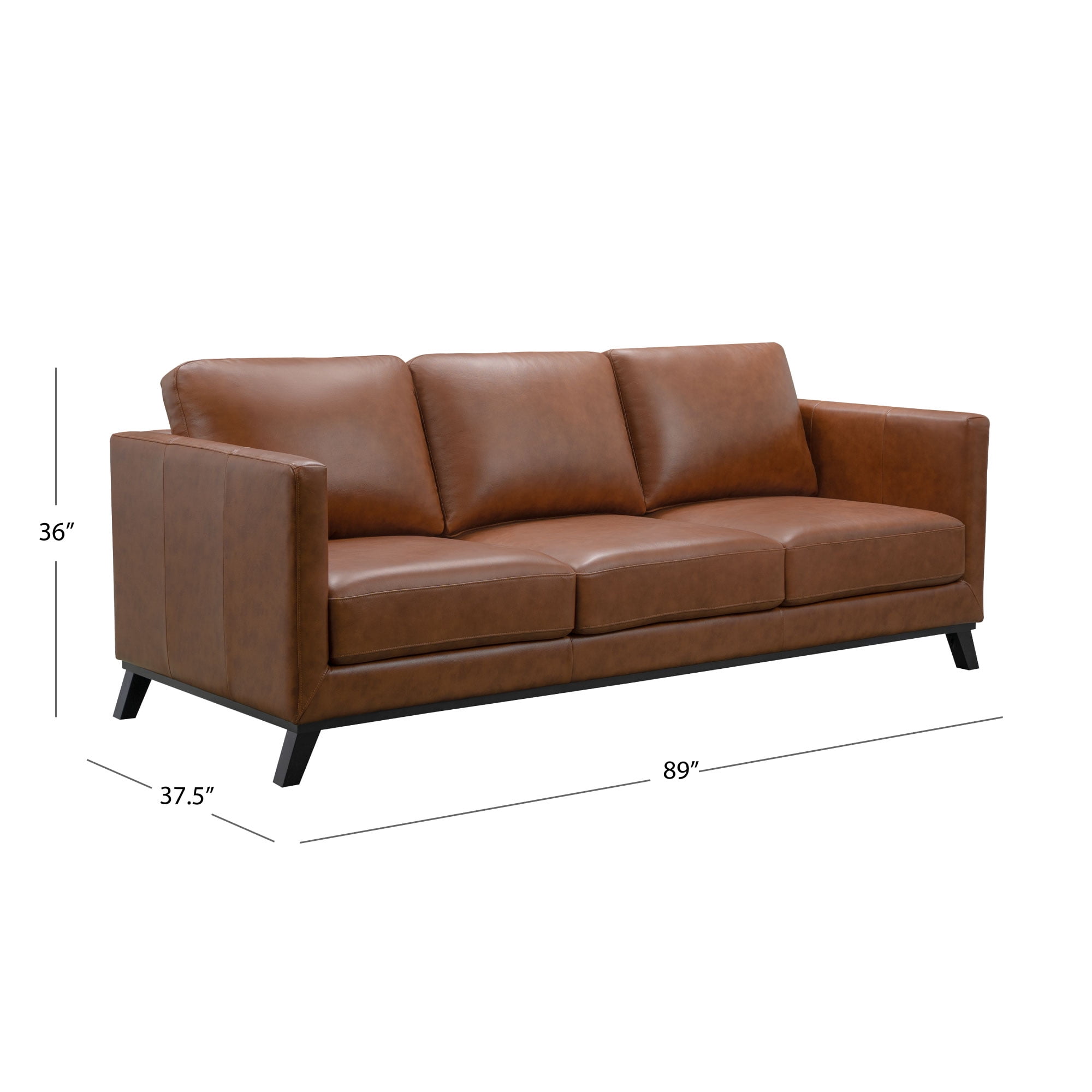 Devon & Claire Prado Mid-Century Top Grain Leather Sofa