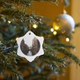 thumbnail image 7 of 3drose, Canals in Amsterdam, 3 inch Snowflake Porcelain Ornament, 7 of 7