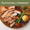 thumbnail image 2 of Original Adult Dry Dog Food - Chicken, Pea & Potato, 2 of 4