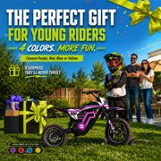 IVFJFV 500W Electric Dirt Bike for Kids,Up to 17.4MPH & 23.6 Miles,Two Speed Modes, Front & Rear Suspension,Mechanical Disc Brakes, 165 LBS,Beginner-Friendly Handle, All-Terrain,PURPLE