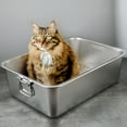 Zksm Stainless Steel Cat Litter Box Low Entry, BrokenResistant