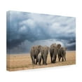 thumbnail image 4 of Renee Doyle 'Elephant Walk' Canvas Art, 4 of 4