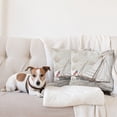 thumbnail image 4 of Ambesonne Vintage Throw Pillow Cover 2 Pack, Antique American Yacht, 24", Pale Grey Tan White, 4 of 7