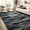 Gray-02, variant on Kuotingluck Plush Black Area Rug, Kid & Pet Friendly Machine Washable Shag Rug with Non-Slip Backing,4'x6'