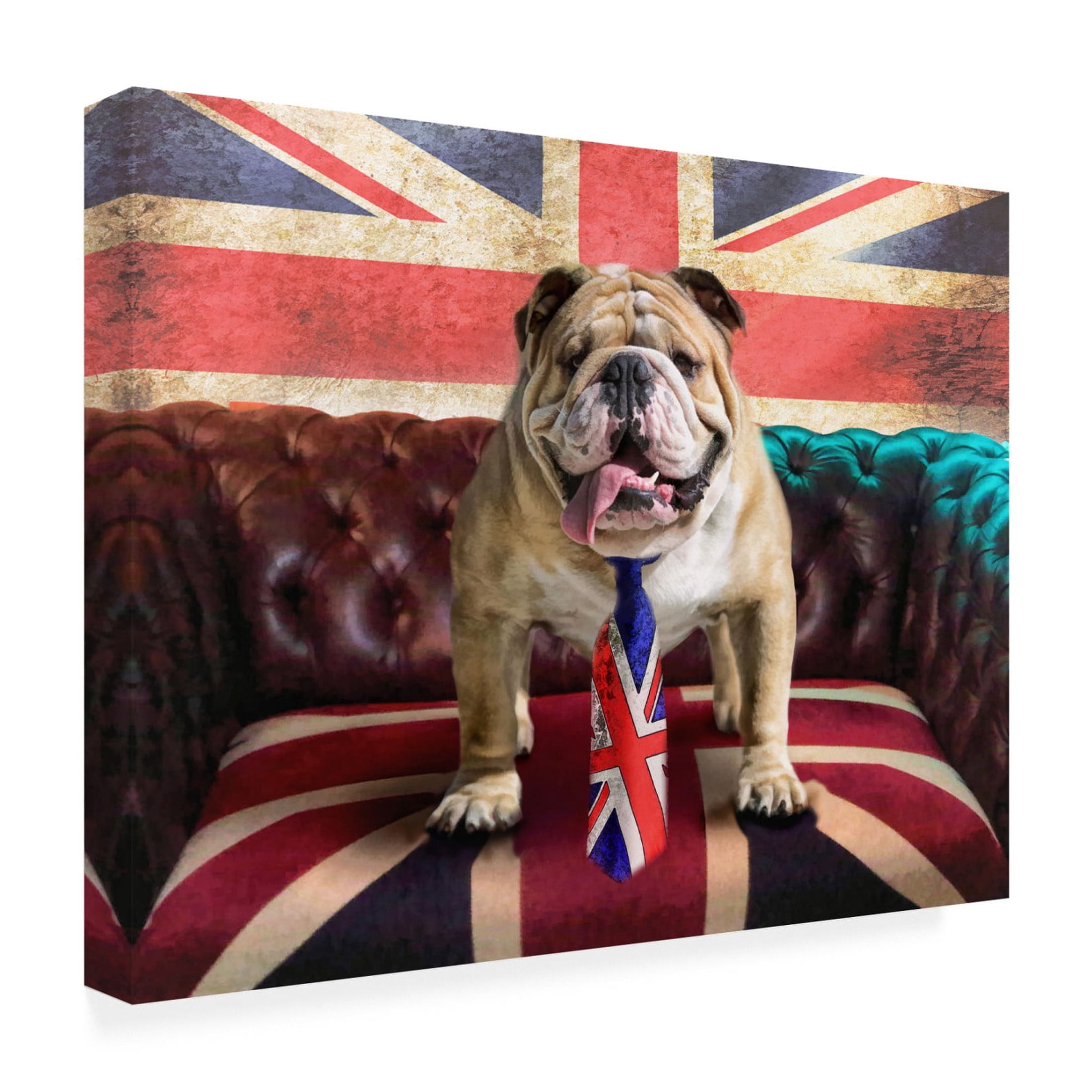 Canvas Wall Art - Trudi Simmonds 'Winston' Wall Art for Living Room, Bedroom, or Office Décor by Trademark Fine Art - 47 x 35 Inches