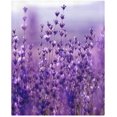 thumbnail image 3 of ABPHQTO Juego de Ropa de Cama de 3 Piezas Funda Nórdica Flores de Lavanda Púrpura con 2 Fundas de Almohada, 3 of 4