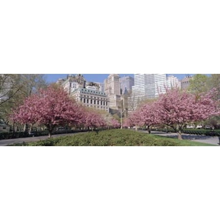 Cherry Trees Battery Park NYC New York City New York State USA Canvas Art - Panoramic Images (18 x