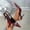 Wine, variant on Aobny Stiletto Women Shoes High Heels Closed Toe Heels Heels Pumps Shoes Shoe Ankle Strap Pointy Toe Soft Toe Black Womens Summer Shoes,Size 36