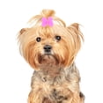 thumbnail image 4 of 20 lazos para el pelo con gomas elásticas para perros pequeños de pelo largo, accesorios para el aseo y celebraciones navideñas, 4 of 7