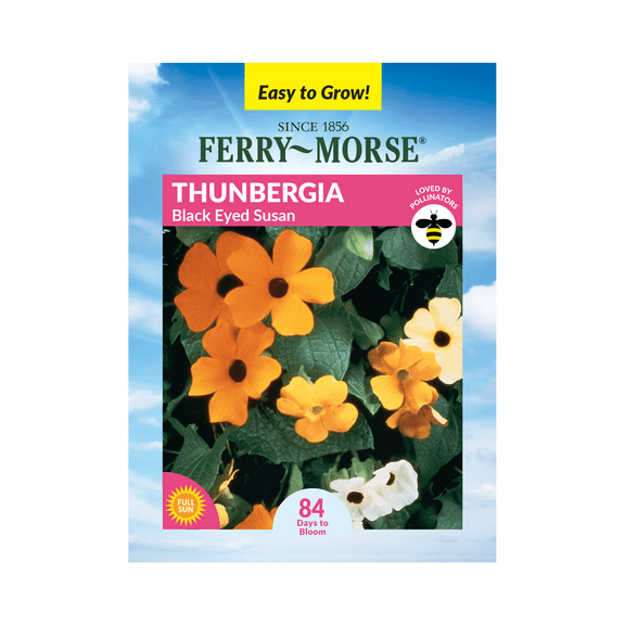 Ferry-Morse 480MG Thunbergia Black Eyed Susan Annual Flower Seeds, Full Sun