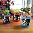 thumbnail image 6 of HemaKayy Decorative Planter Pot Set - Perfect for Small Plants - Colorful Design With Drainage Hole - Ideal for Home and Garden Decor - Set of 8 - Unique Marble Texture, 6 of 6