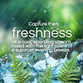 thumbnail image 3 of Airwick Plug In Scented Oil Refills, Fresh Waters Fragrance, Infused With Natural Essential Oils (2x20ml), 3 of 8