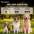 thumbnail image 2 of Dogsee Activet+ Gut Health Chews Probiotics Prebiotics Enzymes Fiber 90 Chews, 2 of 9