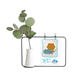 thumbnail image 1 of Hong Kong China huevo Puff Jarrones colgantes de vidrio transparente Decoración Botella, 1 of 4