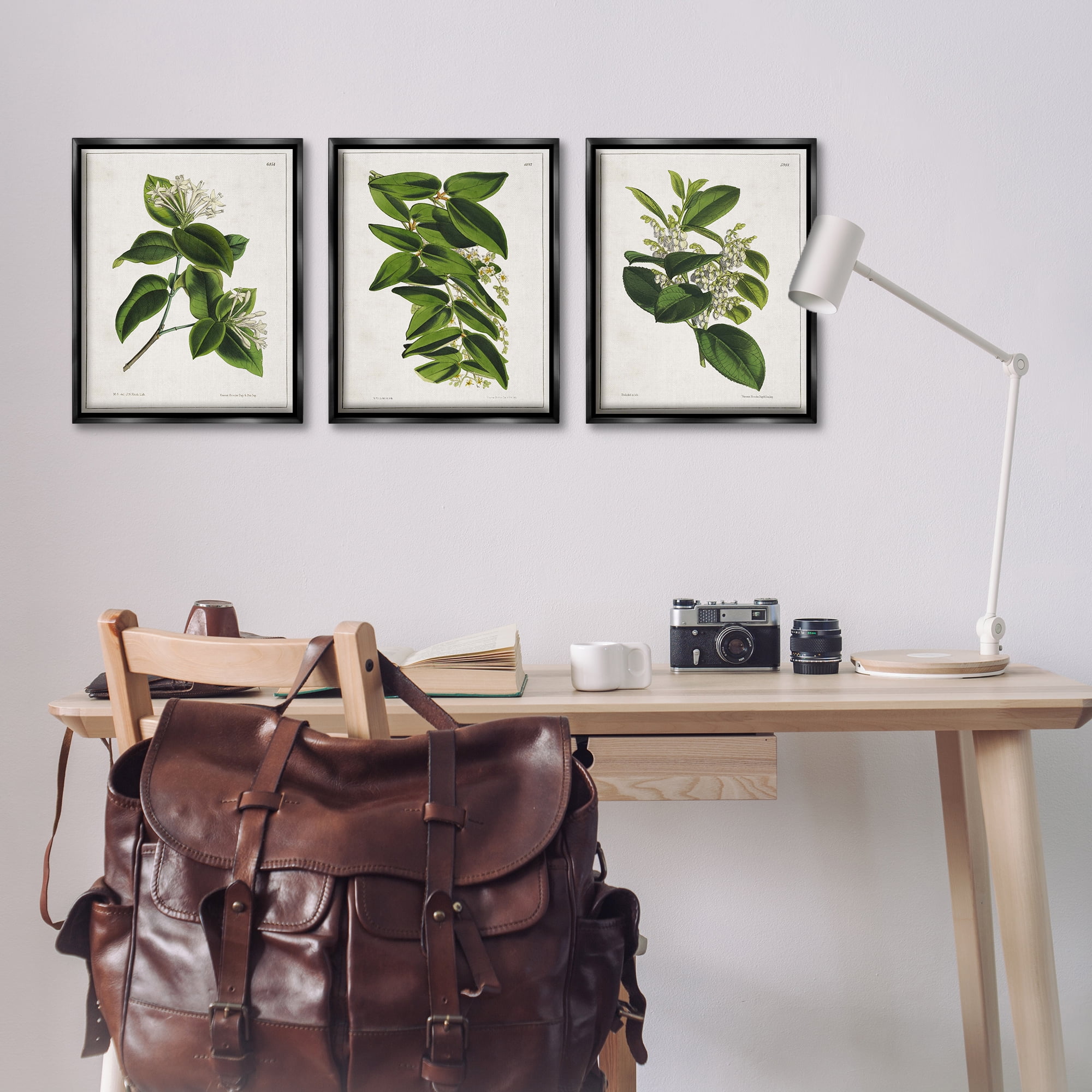 Stupell Industries Vintage Forest Flower Studies Plants & Flowers Painting Black Floater Framed Canvas Art Print Wall Art, 17 x 21, Set of 3